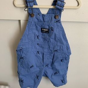 12 Month Overall shorts